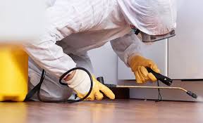 Best Real Estate Pest Inspections  in Big Bend, WI